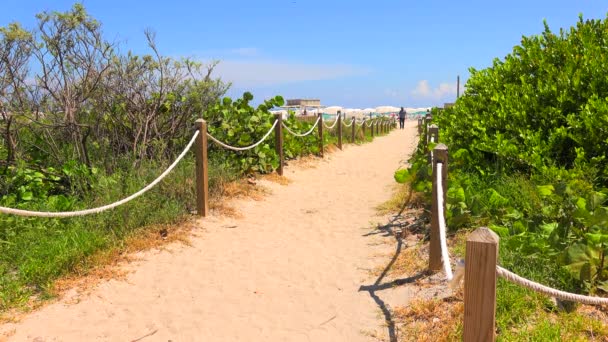 Cesta Pláži Modrá Obloha Atlantský Oceán Pozadí Miami Beach Jižní — Stock video