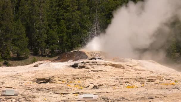 Beautiful Geyser Yellowstone National Park Wyoming Estados Unidos — Vídeos de Stock