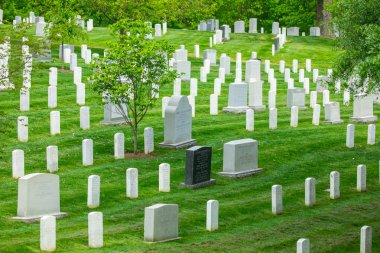 Abd. Washington Dc. Wshington. Haziran 2019: Arlington Ulusal Mezarlığı