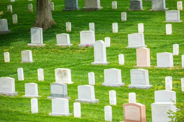 Estados Unidos Washington Wshington Junio 2019 Cementerio Nacional Arlington — Foto de Stock