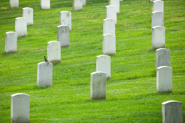 Usa Washington Wshington Juni 2019 Nationalfriedhof Von Arlington — Stockfoto