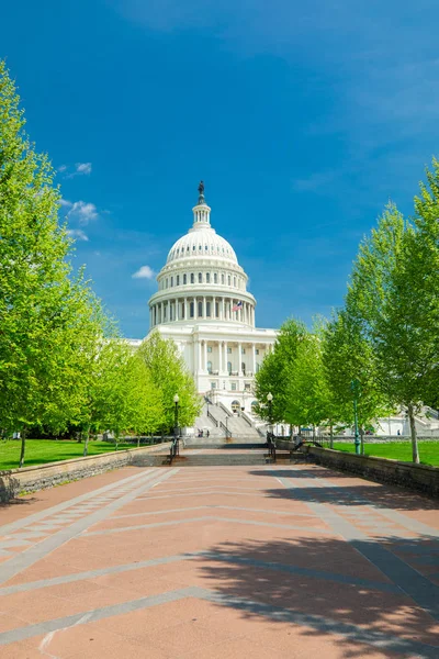 United States Capitol Building Washington Usa — Stock Photo, Image