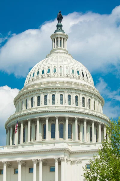 米国議会議事堂ワシントンD アメリカのビル ロイヤリティフリーのストック写真