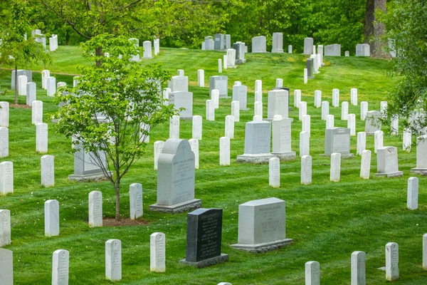 Estados Unidos Washington Wshington Junio 2019 Cementerio Nacional Arlington — Foto de Stock