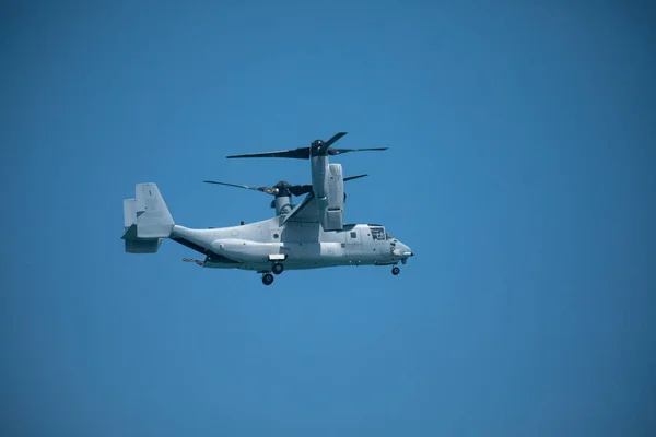 Usa Florida Miami Beach Juin 2019 Usmc Osprey Vol Démonstration — Photo