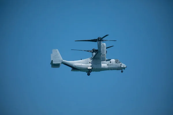 Usa Florida Miami Beach Juin 2019 Usmc Osprey Vol Démonstration — Photo