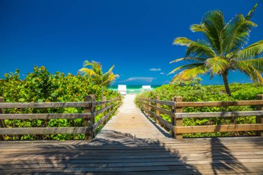 Sahile giden yol, ahşap set. Miami Sahili. Florida. 