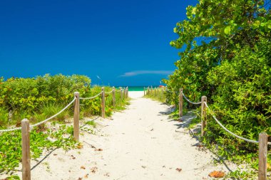 Sahile giden yol, ahşap set. Miami Sahili. Florida. 