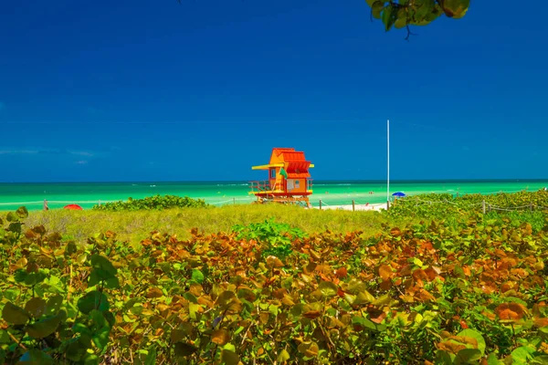 Wieża Ratownik Miami Beach Południowa Plaża Florida Usa — Zdjęcie stockowe
