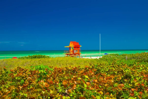 Wieża Ratownik Miami Beach Południowa Plaża Florida Usa — Zdjęcie stockowe