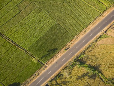 Tarafından yol çizgi, Yogyakarta, Endonezya - 15 Temmuz 2018 geçti yeşil pirinç alan hava üstten görünüm
