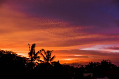 Ağaç siluet güzel günbatımı altın gökyüzü arka plan yüksek çözünürlüklü görüntü ile