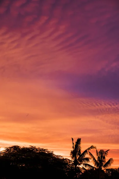 Colorful sunset golden sky pattern background high resolution image