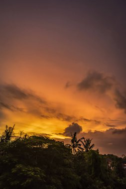 Güzel altın saat günbatımı gökyüzü ile ağaç siluet