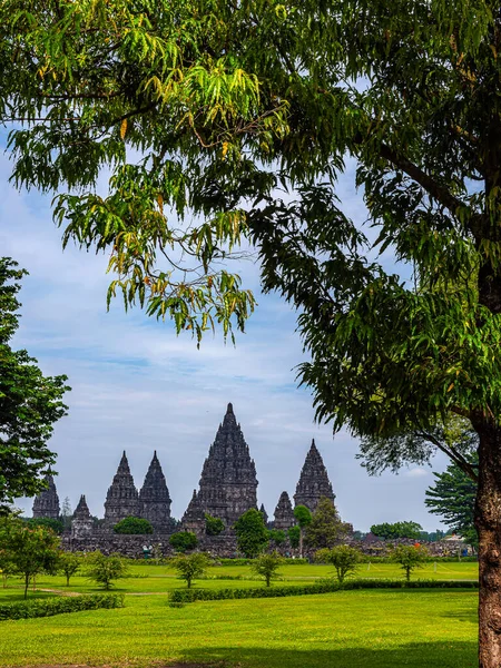 Vista Del Templo Prambanan Con Marco Del Árbol Naturaleza Fondo — Foto de Stock