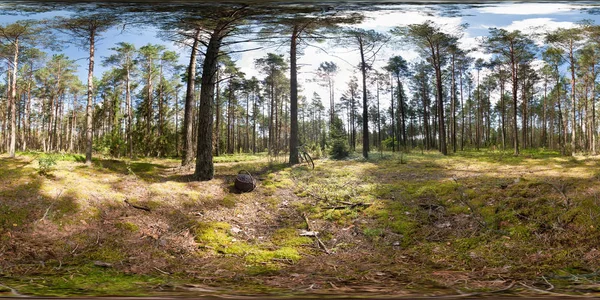 Πλήρη 360 Equirectangular Σφαιρικό Πανόραμα Στο Δάσος Καλοκαίρι — Φωτογραφία Αρχείου