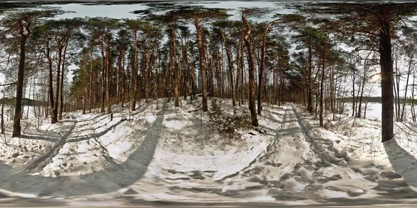 Panorama Bosque Cubierto Nieve Día Soleado Panorama Completo 360 Grados — Foto de Stock