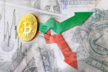 dalgalanmalar ve sanal para bitcoin Döviz kurları tahmini. Altın Bitcoin merdiven kağıt dolar faturaları arka plan üzerinde kırmızı ve yeşil oklarla. Cryptocurrency kavramı.
