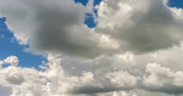 Tijd Lapse Clip Van Wit Grijze Pluizig Krullend Rollende Wolken — Stockvideo