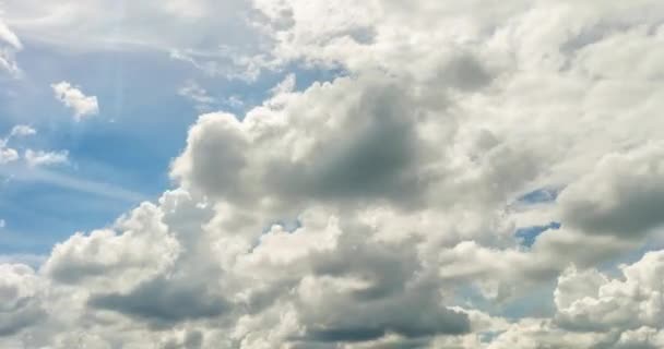 Zeitraffer Clip Von Flauschigen Lockigen Wolken Abend — Stockvideo