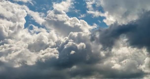 Zeitraffer Clip Von Weißen Grauen Lockigen Wolken — Stockvideo