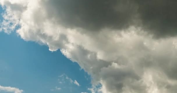 Tijd Lapse Clip Van Wit Grijs Pluizig Krullend Rollende Wolken — Stockvideo