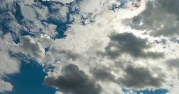 Zeitraffer Clip Von Weißen Grauen Lockigen Wolken — Stockvideo