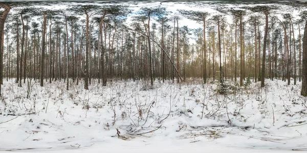 Téli Teljes Gömb Alakú 360 Fokos Szögben Megtekintése Panoráma Havas — Stock Fotó