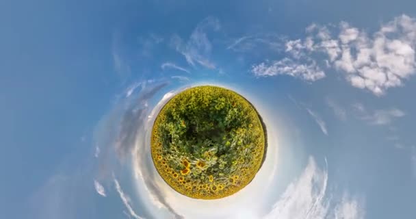 Krökning Rymden Lilla Planet Transformation Full Förbiflygning Panorama Landskap Fält — Stockvideo