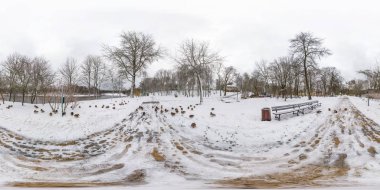 Winter full seamless spherical panorama 360 degrees angle view on road with flock of ducks in a snowy park with gray pale sky near river in equirectangular projection. VR AR content