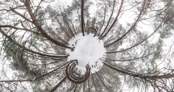 Mała Planeta Transformacji Krzywizny Przestrzeni Pełny Przelot Panorama Wznoszą Się — Wideo stockowe