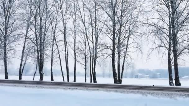 Αυτοκίνητα Που Οδηγούν Χιονισμένο Δρόμο Και Πεδίο — Αρχείο Βίντεο