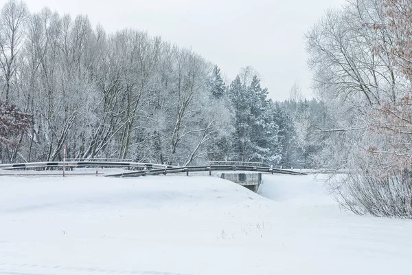 沿河公路上的雪树景观与小桥 — 图库照片