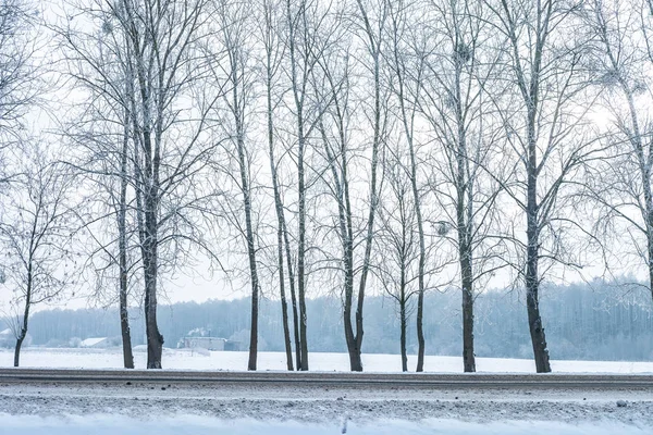 Τοπίο Από Χιονισμένα Δέντρα Κατά Μήκος Της Οδού — Φωτογραφία Αρχείου