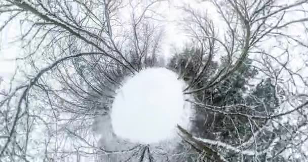 宇宙の曲率の小さな惑星変換 都市公園における冬の風景の空に上がると完全フライバイ パノラマ — ストック動画