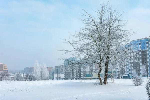 在一个阳光明媚的冬日 有白霜树 城市的住宅区全景 — 图库照片