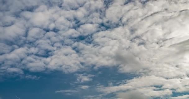 Time Lapse Hdri Clip Evening Fluffy Curly Rolling Clouds Setting — Stock Video