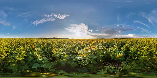 Full Sömlös Sfäriskt Panorama 360 180 Grader Metar Beskådar Bland — Stockfoto