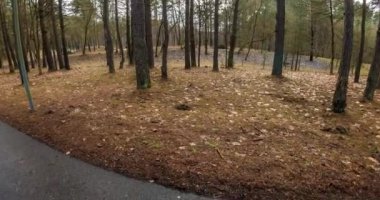 Hiçbir Vr. uzay eğriliği olan küçük gezegen dönüşümü. tam uçuşu panorama ile artış kadar kış manzara göğe Şehir Parkı