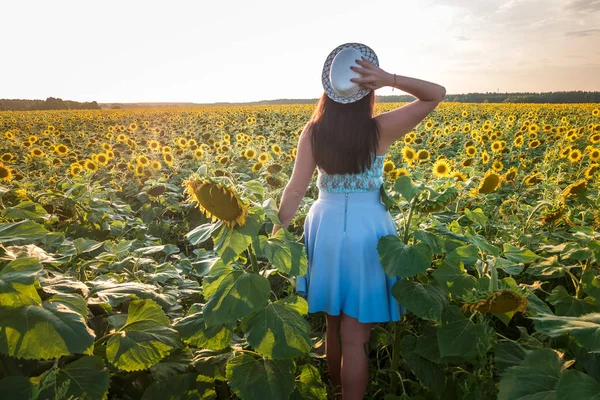 big size model girl in a blue dress leaves with hat in field of sunflowers on the sunset. Follow me concept