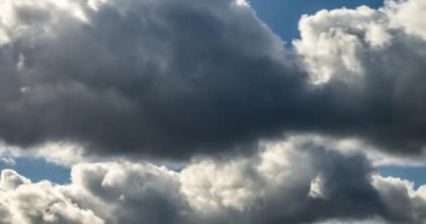 Time Lapse Clip Gray Fluffy Curly Rolling Clouds Storm Windy — Stock Video