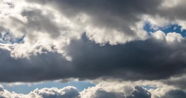 太陽光と風の強い天気の嵐の前にグレーのふわふわ巻き毛圧延雲の時間経過クリップ — ストック動画