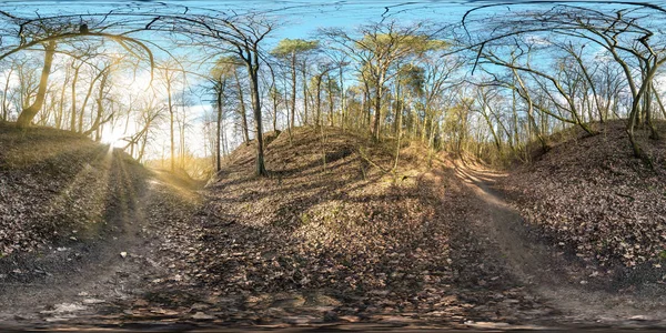 Πλήρη και απρόσκοπτη σφαιρικό πανόραμα 360 μοίρες γωνία άποψη σε χαράδρα που καλύπτονται δέντρο στο δάσος με ήλιο ακτίνες κυλινδρική ή ισορθογώνια προβολή, πεζοδρομημένο μονοπάτι στο δάσος. έτοιμο περιεχόμενο εικονικής πραγματικότητας Vr Ar — Φωτογραφία Αρχείου