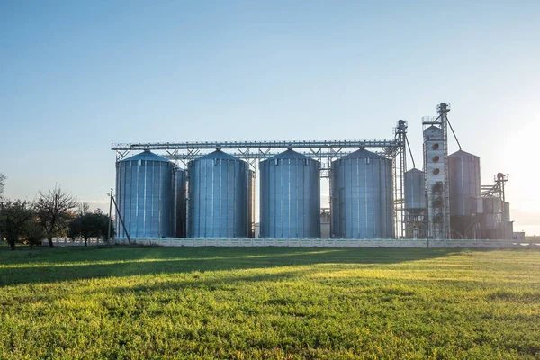 Perak silo pada pabrik pengolahan pertanian untuk pengolahan pengeringan dan penyimpanan produk pertanian, tepung, sereal dan biji-bijian — Stok Foto