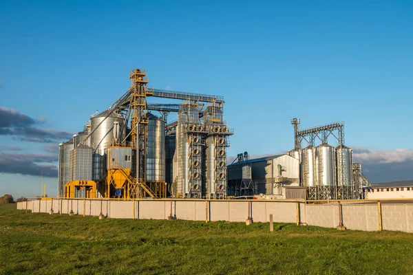 Planta de transformación agrícola para la transformación y silos de secado, limpieza y almacenamiento de productos agrícolas, harina, cereales y cereales —  Fotos de Stock