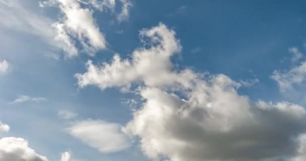 Tijd Lapse Clip Van Grijze Pluizig Krullend Rollende Wolken Voor — Stockvideo