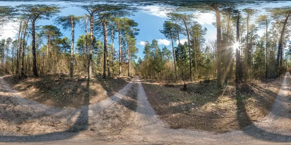 Hdri σφαιρικό πανόραμα 360 μοίρες γωνία θέα στο πεζών μονοπάτι και ποδηλάτων lane μονοπάτι με χαλίκι στο δάσος pinery στην ηλιόλουστη, ανοιξιάτικη ημέρα προβολής equirectangular. Περιεχόμενο VR Ar — Φωτογραφία Αρχείου