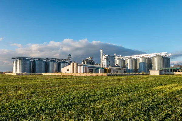 Planta de transformación agrícola para la transformación y silos para el secado cleani — Foto de Stock
