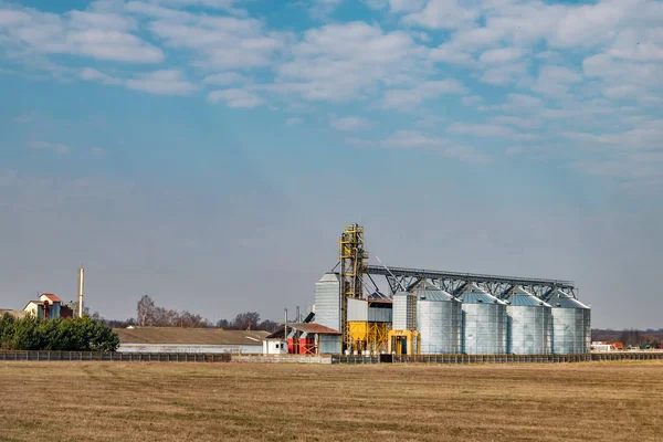 Planta de transformación agrícola para la transformación y silos de secado, limpieza y almacenamiento de productos agrícolas, harina, cereales y cereales — Foto de Stock