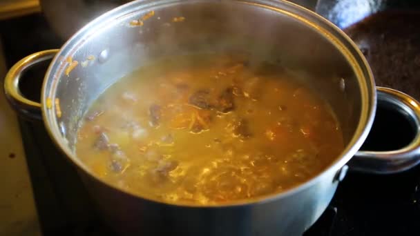 牛肉とコショウソースを鍋で沸騰させる — ストック動画